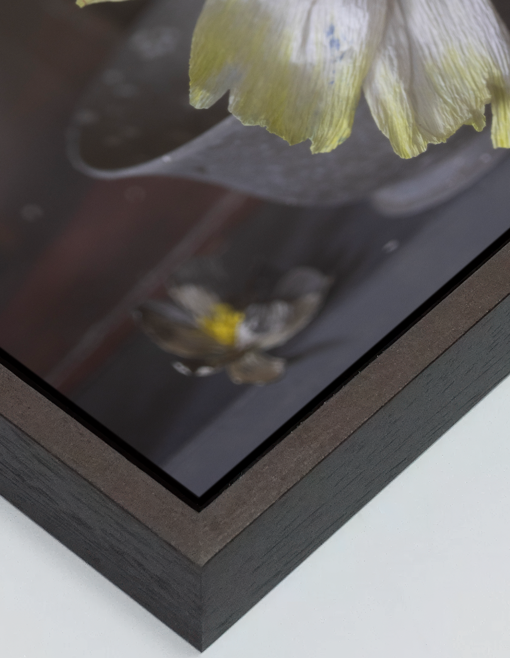 White Flower on Bowl