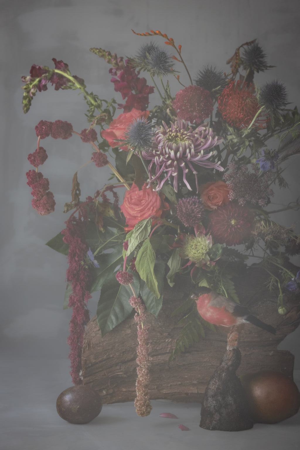 Roses and Little Bird