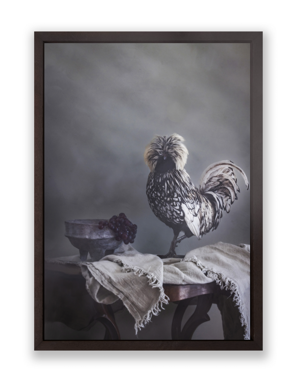 Dutch Crested Chicken