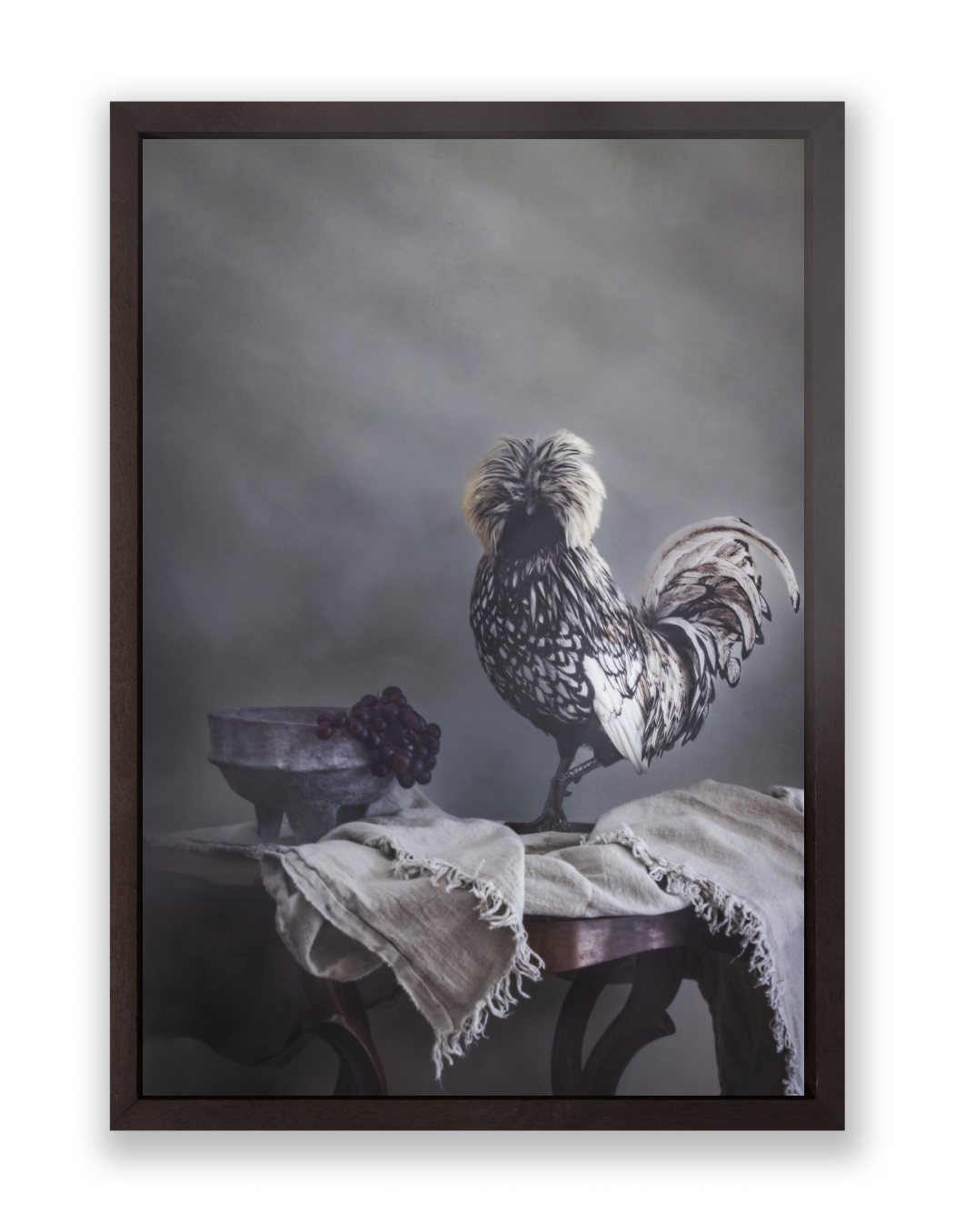 Dutch Crested Chicken